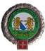 Bild von Infanterie Offiziersschulen Zürich  Béret Emblem